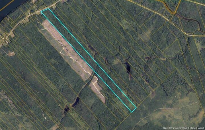 Woodlot Route 118 — photo 1