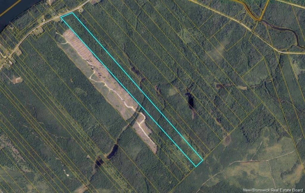Property Photo: Woodlot Route 118 NB E9E 2H2
