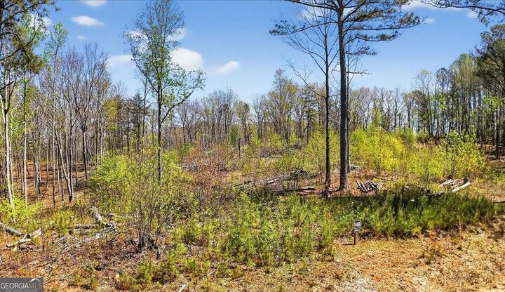 Property Photo:  0 Twisted Oak Road Lot 440  GA 30175 