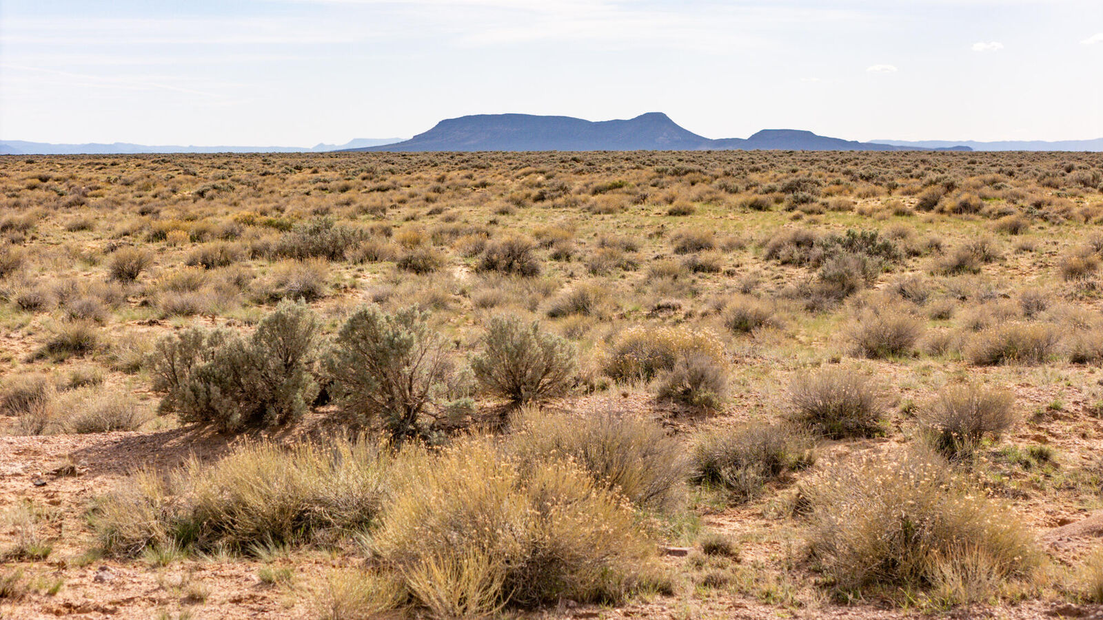 Property Photo:  320 Acres Just Off Lund Hwy E1/2&Ampw1/2, W1/2,Sec 8,T33s,R1  UT 84721 