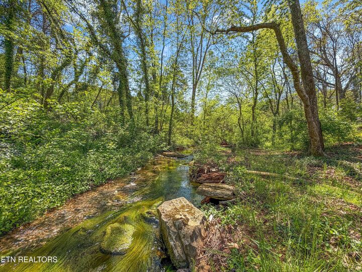 Property Photo: 8904 Ormand Lane TN 37923