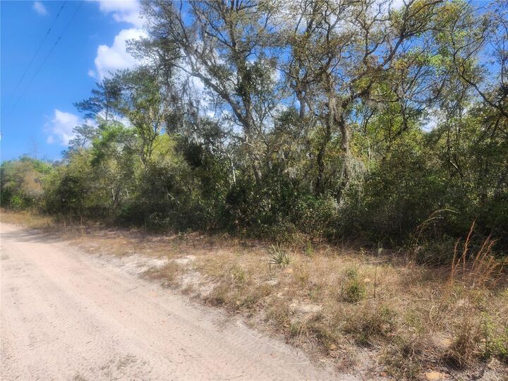 Property Photo:  Tbd NE 236 Lane  FL 32182 