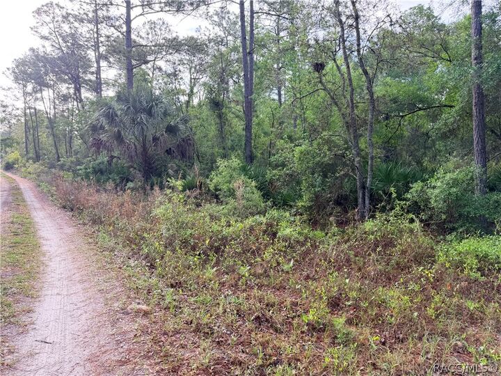 Property Photo:  7494 W Nadel Drive  FL 34428 