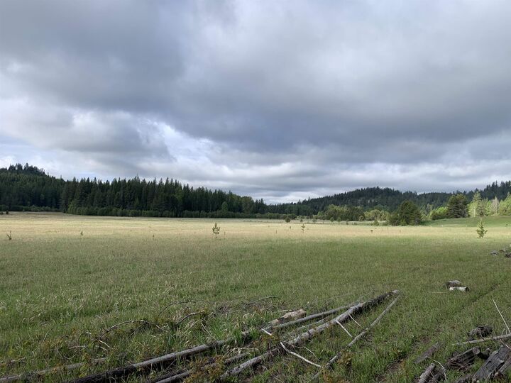 Property Photo:  3xx Beaver Valley Rd  WA 99154 