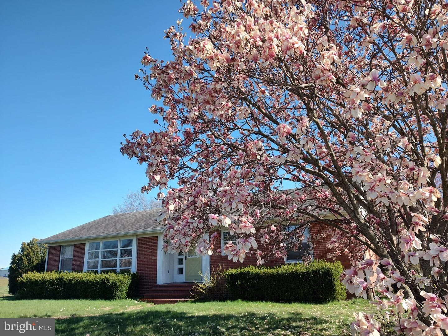 Property Photo:  12397 Ridgely Road  MD 21660 