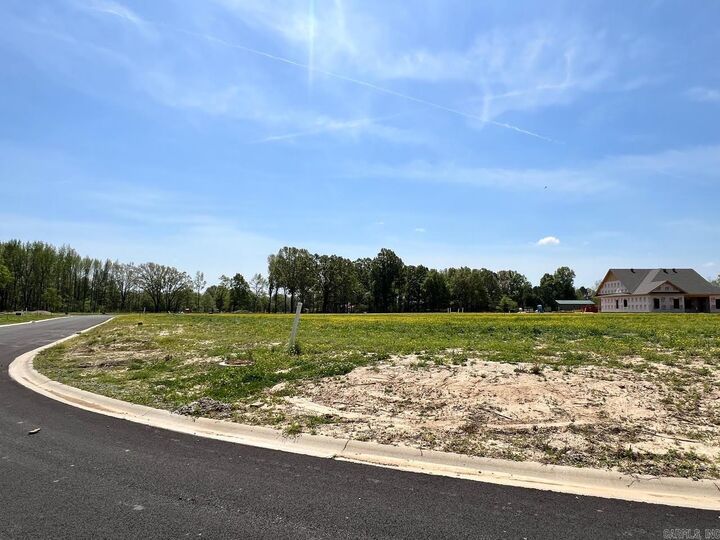 Property Photo:  108 Gordo Drive  AR 72417 