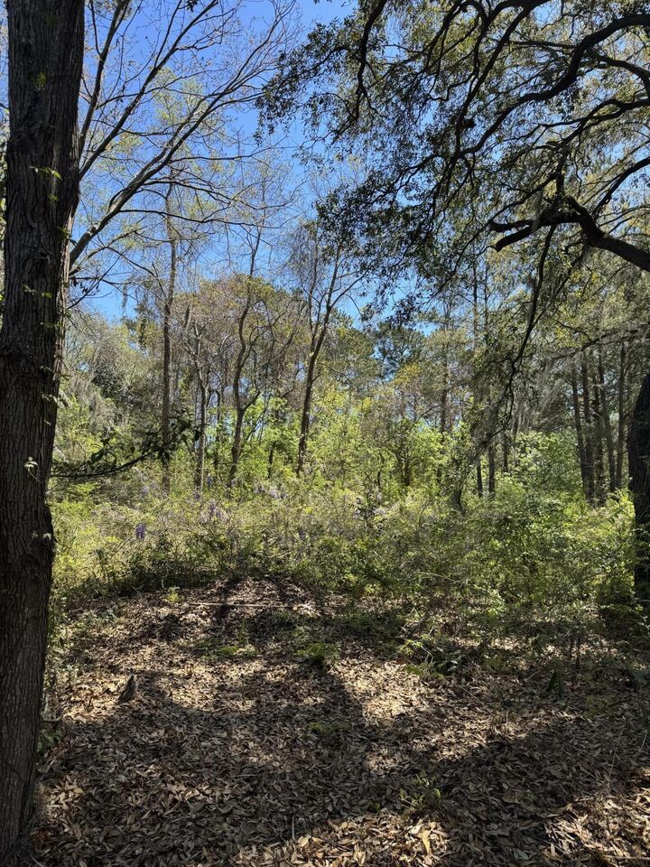 Property Photo:  8730 N Park Boulevard  SC 29406 