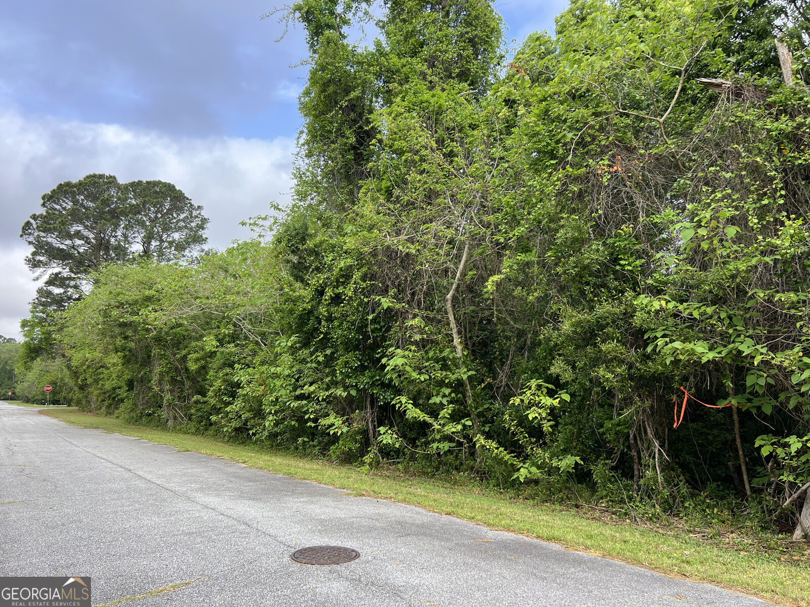 Property Photo:  204 W Meeting St.  GA 31558 