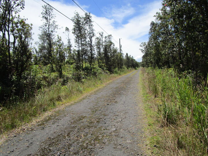Property Photo:  Noio St  HI 96771 