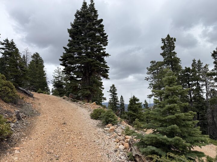 Property Photo:  5140 W Bear Cir  UT 84762 