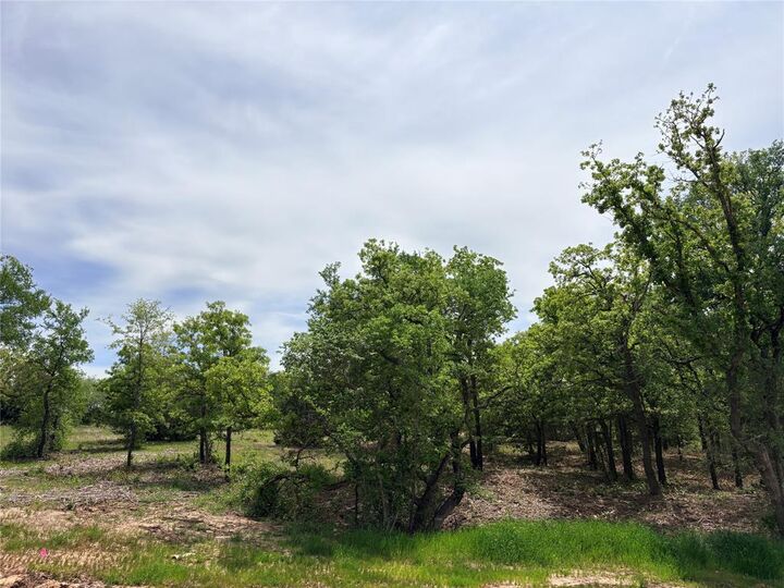 Property Photo:  135 Turtle Back Ridge  TX 76234 