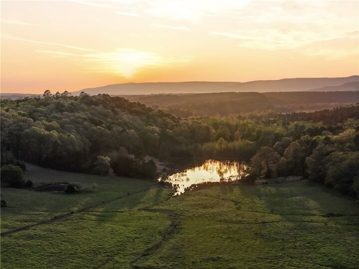 Property Photo:  1709 County Road 4451  AR 72830 