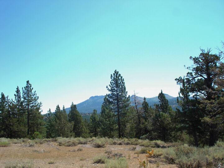 Property Photo: 463 Quail Run CA 96122