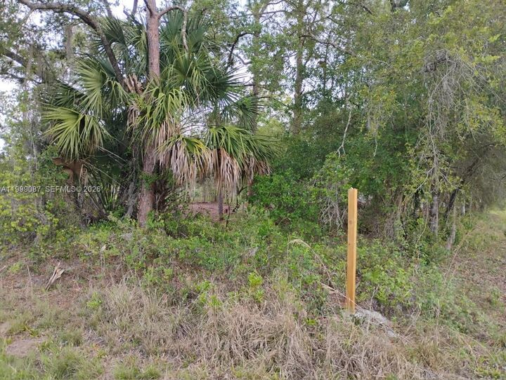 Property Photo:  845 Appaloosa Avenue  FL 33440 
