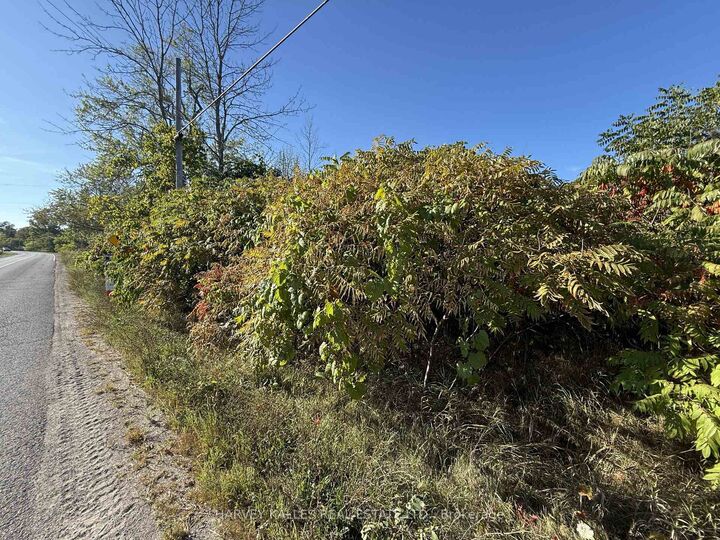Property Photo: Beside 2885 County Road 10 N/A ON K0K 2P0