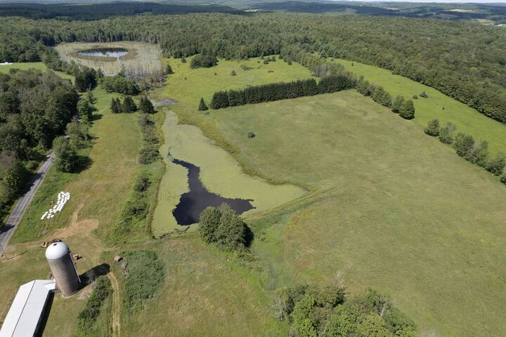 Property Photo:  180 Puckerville Road  NY 13830 