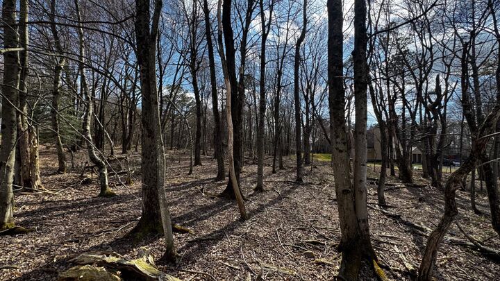 Property Photo:  0 Stony Mountain  PA 18210 