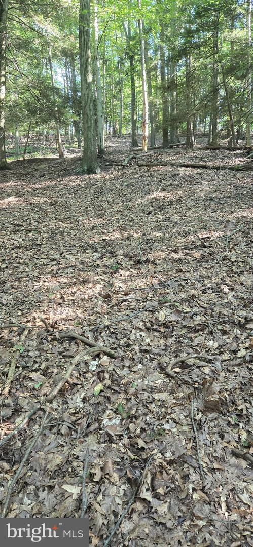 Property Photo: 0 Ridge Road PA 17930