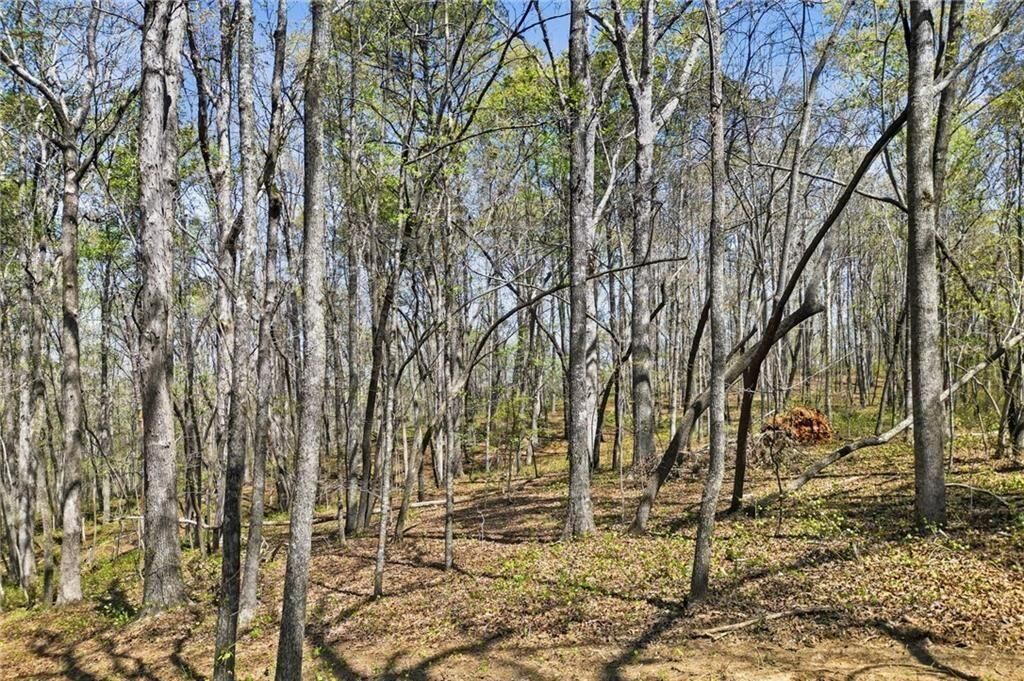 Property Photo:  125 Heritage Plantation Drive  GA 30107 