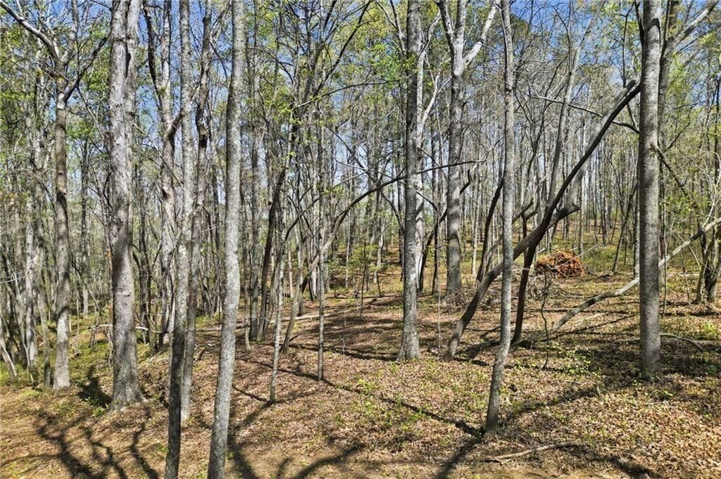 Property Photo:  129 Heritage Plantation Drive  GA 30107 