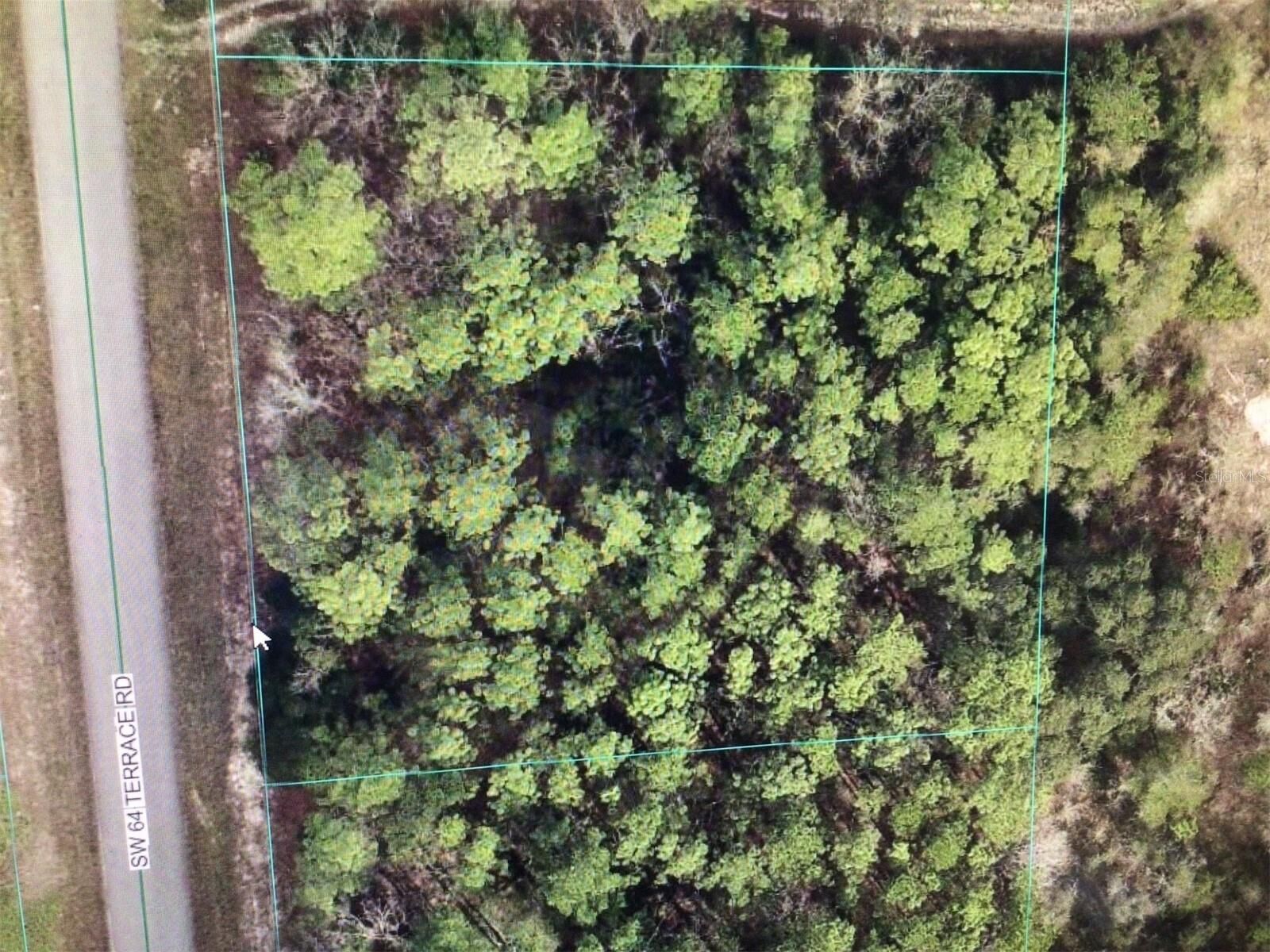 Property Photo:  0 SW 64 Terrace Road  FL 34473 