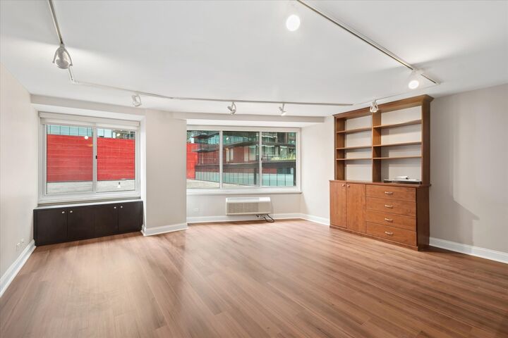 Property Photo: 211 E Ohio Street 816 IL 60611