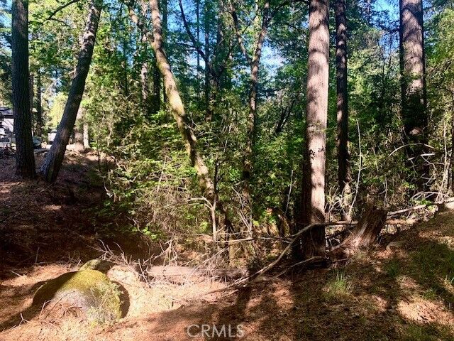 Property Photo:  17325 Fernbrook  CA 95461 