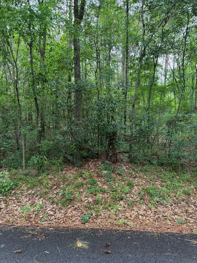 Property Photo:  Lot 2 Old Gobblers Knob Rd  TX 75901 