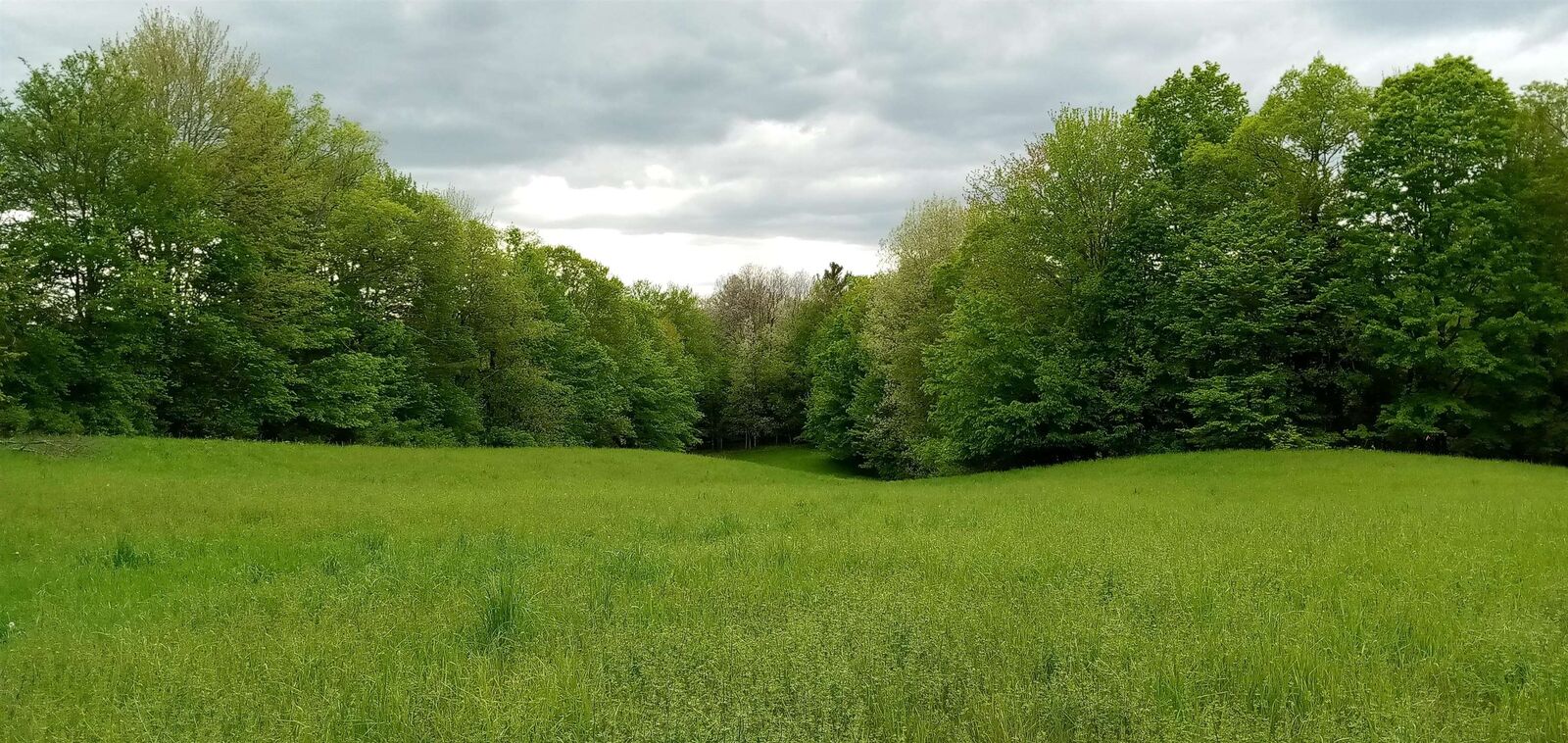 Property Photo: 658 Lower Elmore Mt. Road VT 05661