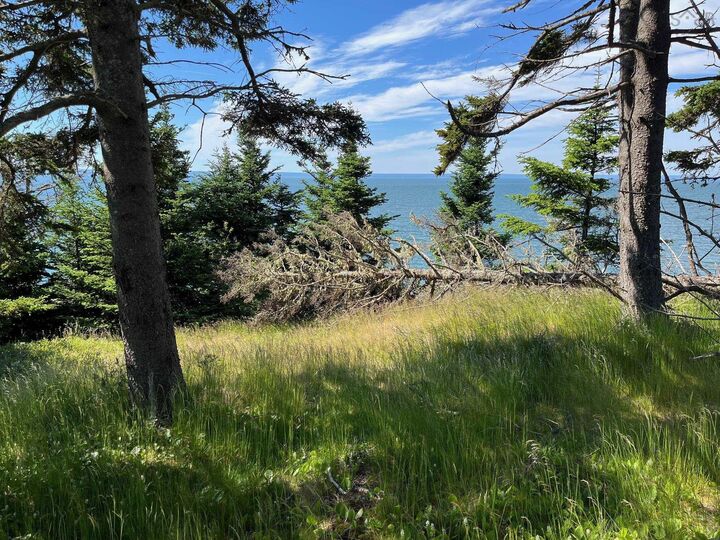 8208 Highway 209 — photo 1
