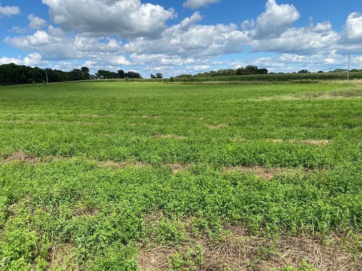 Property Photo:  Lot 2 Blk 2 Serenity Drive SW  MN 56308 