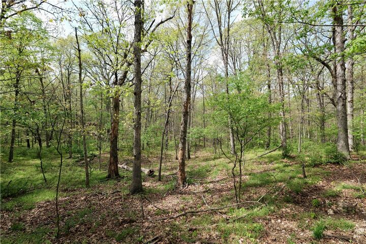 Property Photo:  Lot 23cc Hummingbird Road  AR 72736 