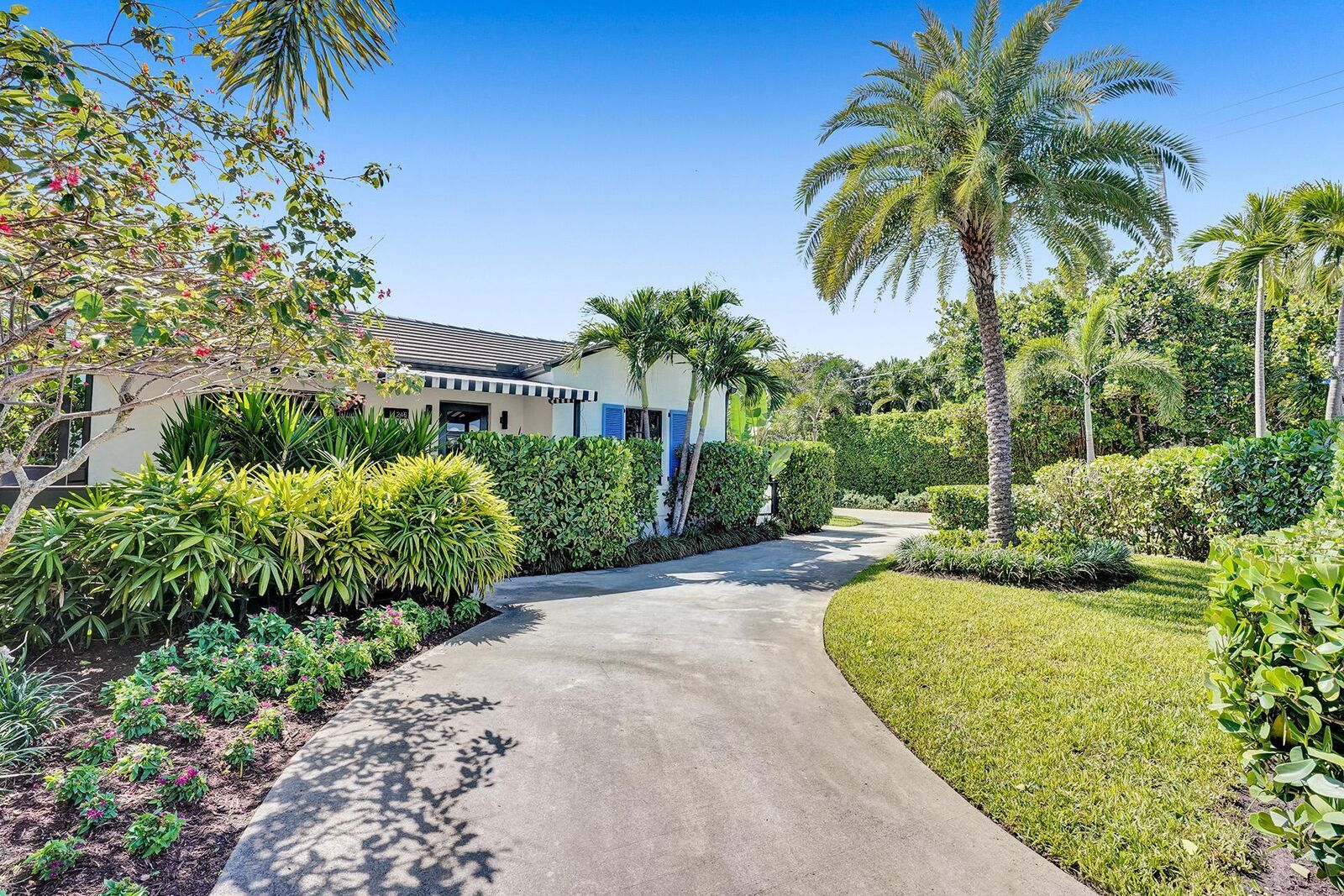 Property Photo:  246 N Swinton Avenue  FL 33444 