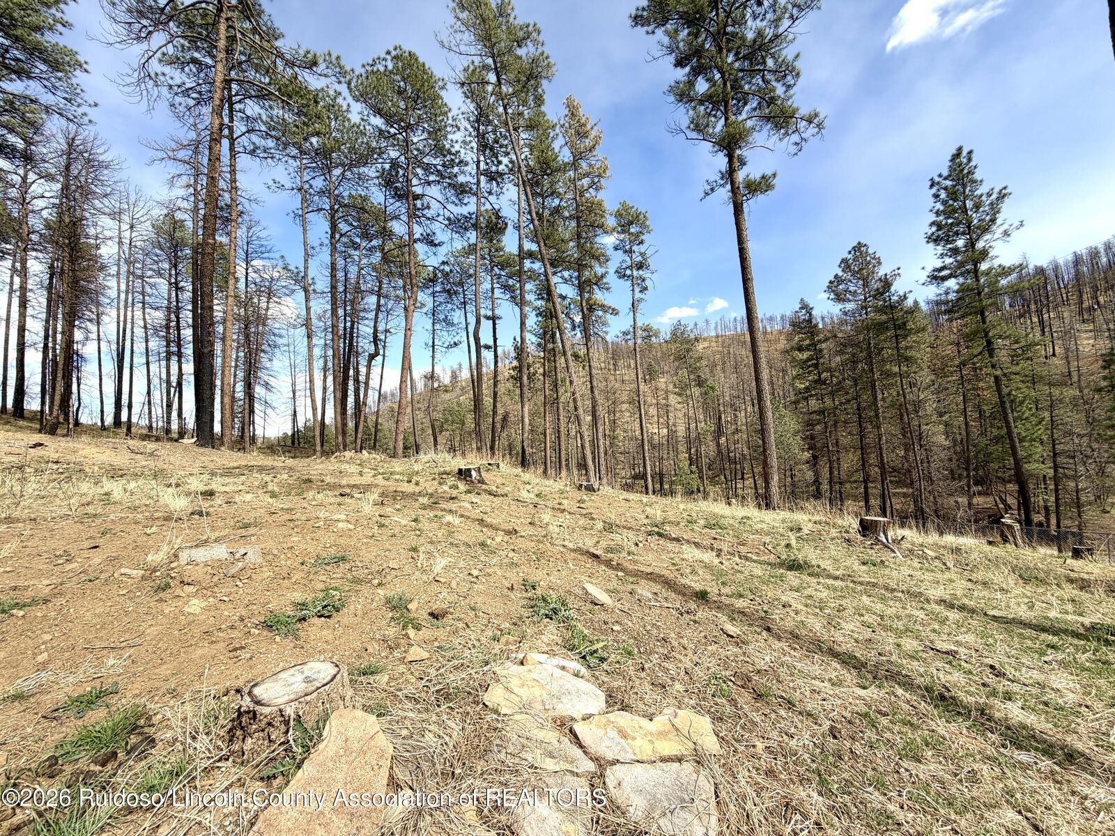 Property Photo:  100 Sonora Loop  NM 88345 