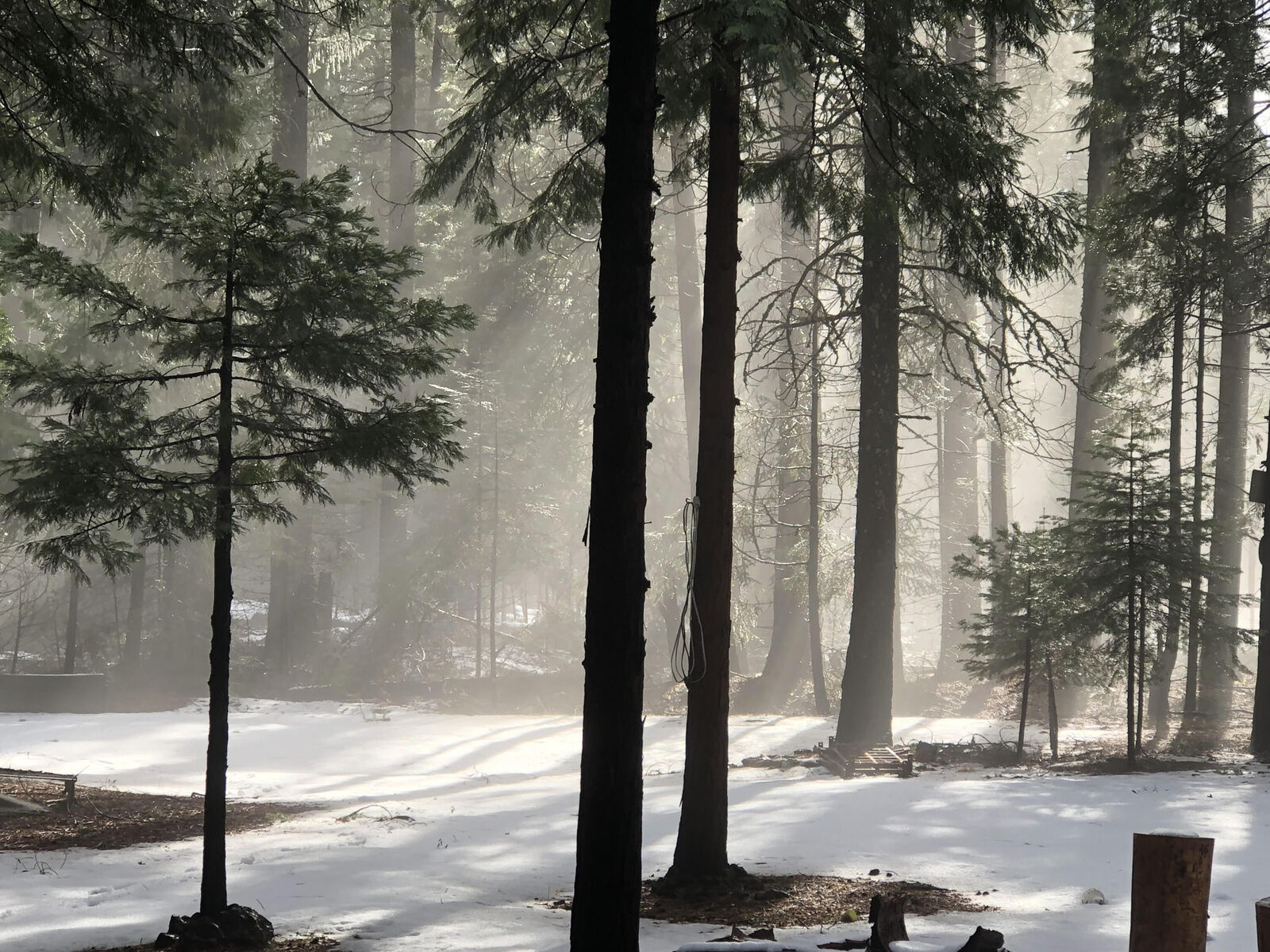 Property Photo:  Side Bottom Road  CA 96088 