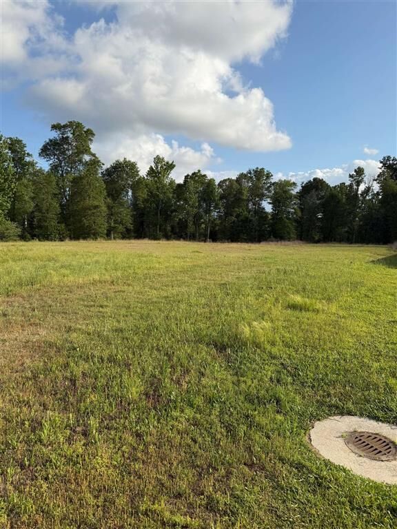 Property Photo:  2130 Rebel Loop  LA 70611 