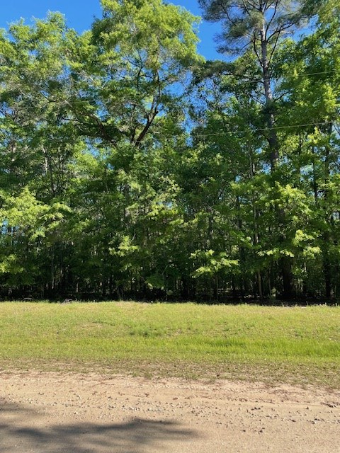 Property Photo:  0 Green Road  AL 36303 