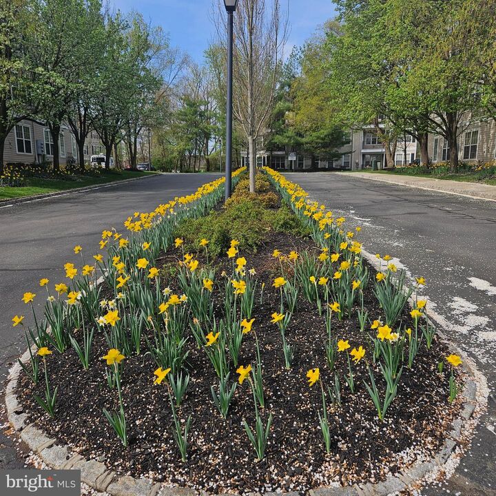 Property Photo:  74 Kyle Way  NJ 08628 