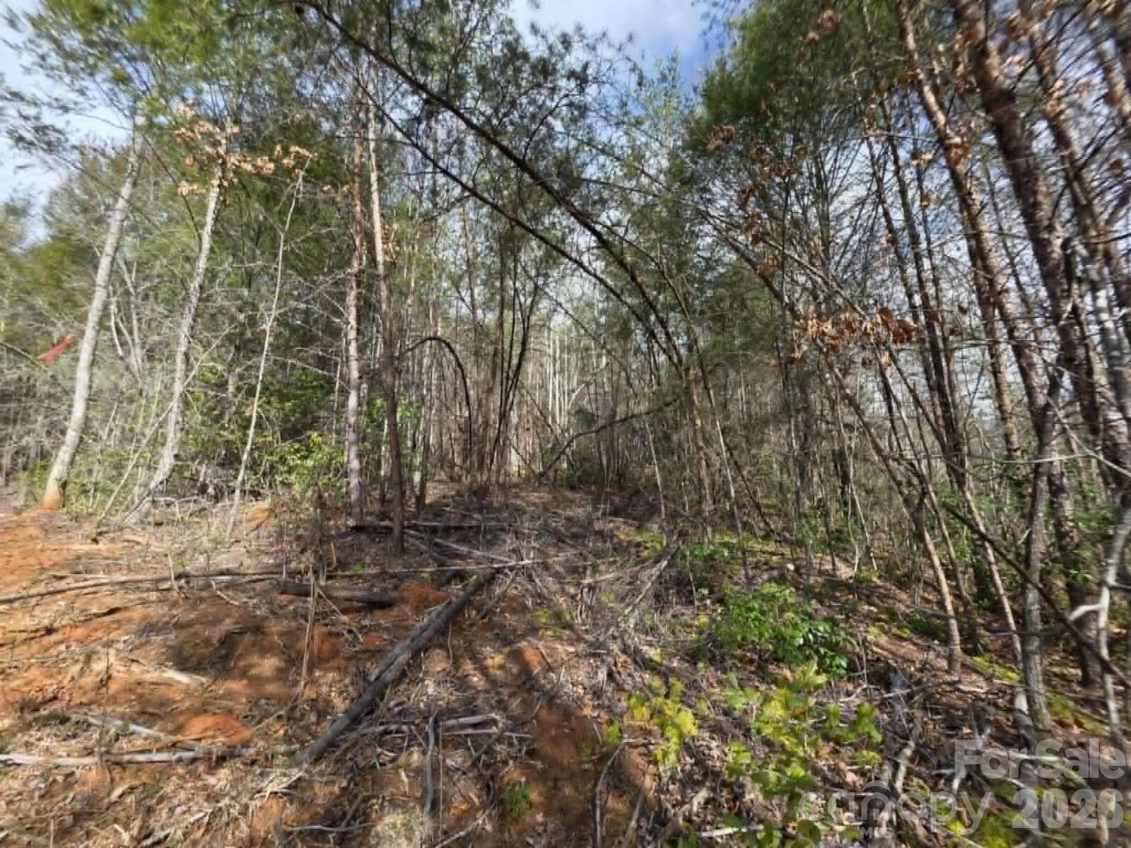 Property Photo:  Lot 7 Kerlee Lane  NC 28762 