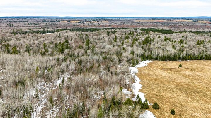 Property Photo:  Tbd Off Of Choate Road  MI 49925 