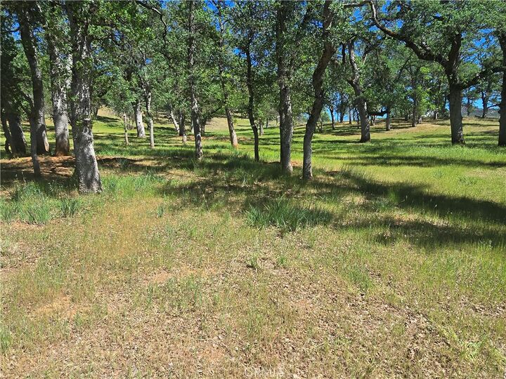 Property Photo:  3128 Wolf Creek Rd  CA 95423 