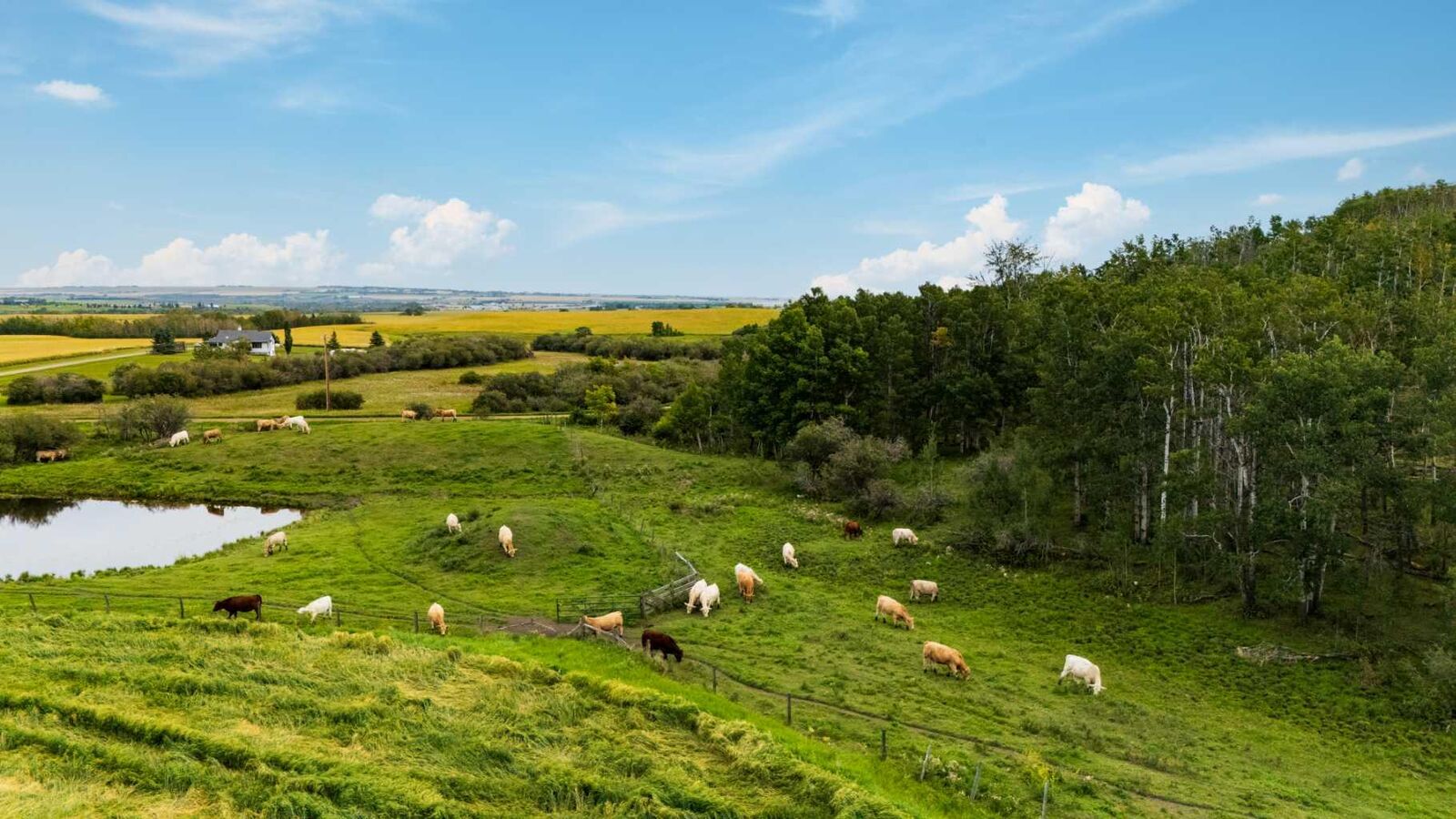 Property Photo:  402 Avenue  AB T1V 2E0 