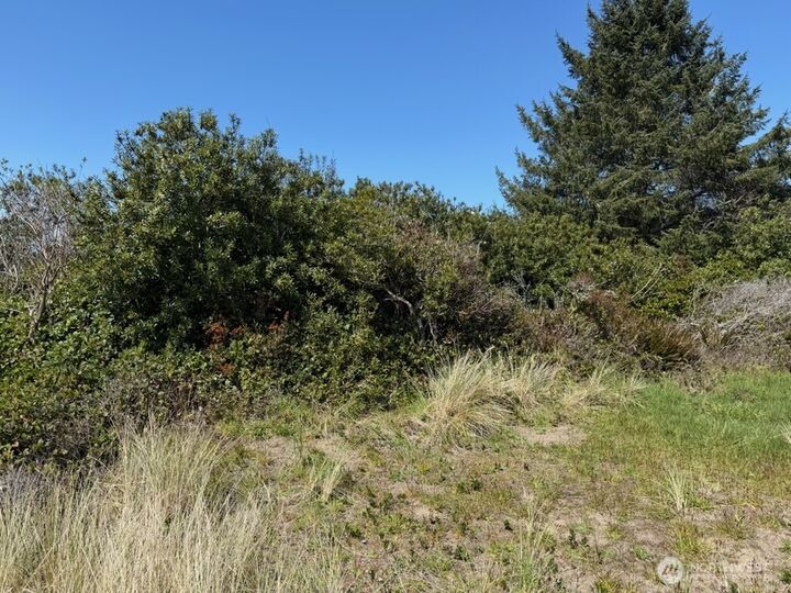 Property Photo:  191 N Razor Clam Drive SW  WA 98569 