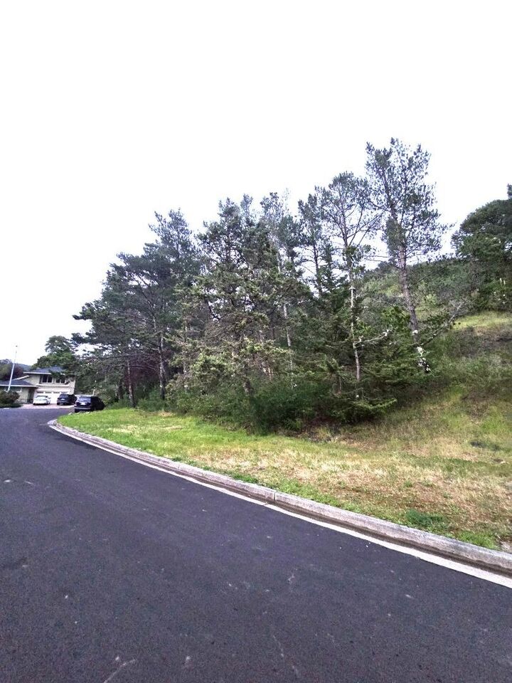 Property Photo:  20 Barton Place  CA 94044 