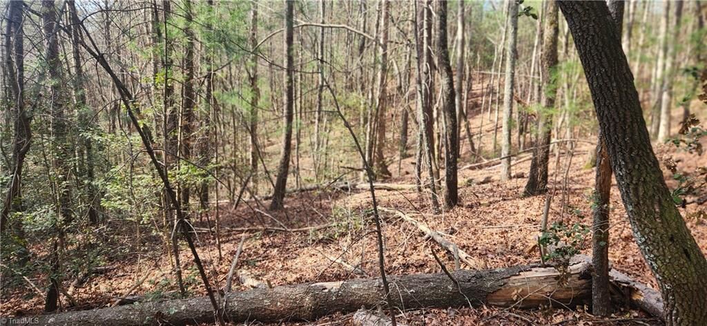 Property Photo:  Tbd Cane Creek Church Road  NC 28649 