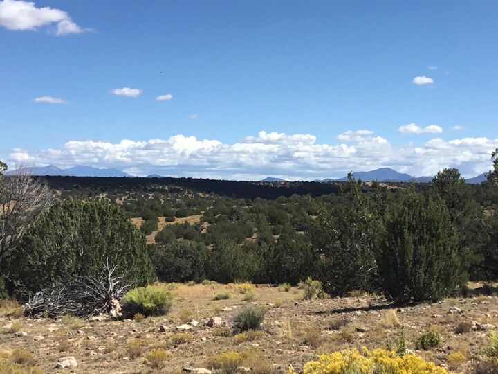 Property Photo:  6708 W Wild Honey Lot A - 10 Ac  AZ 86046 