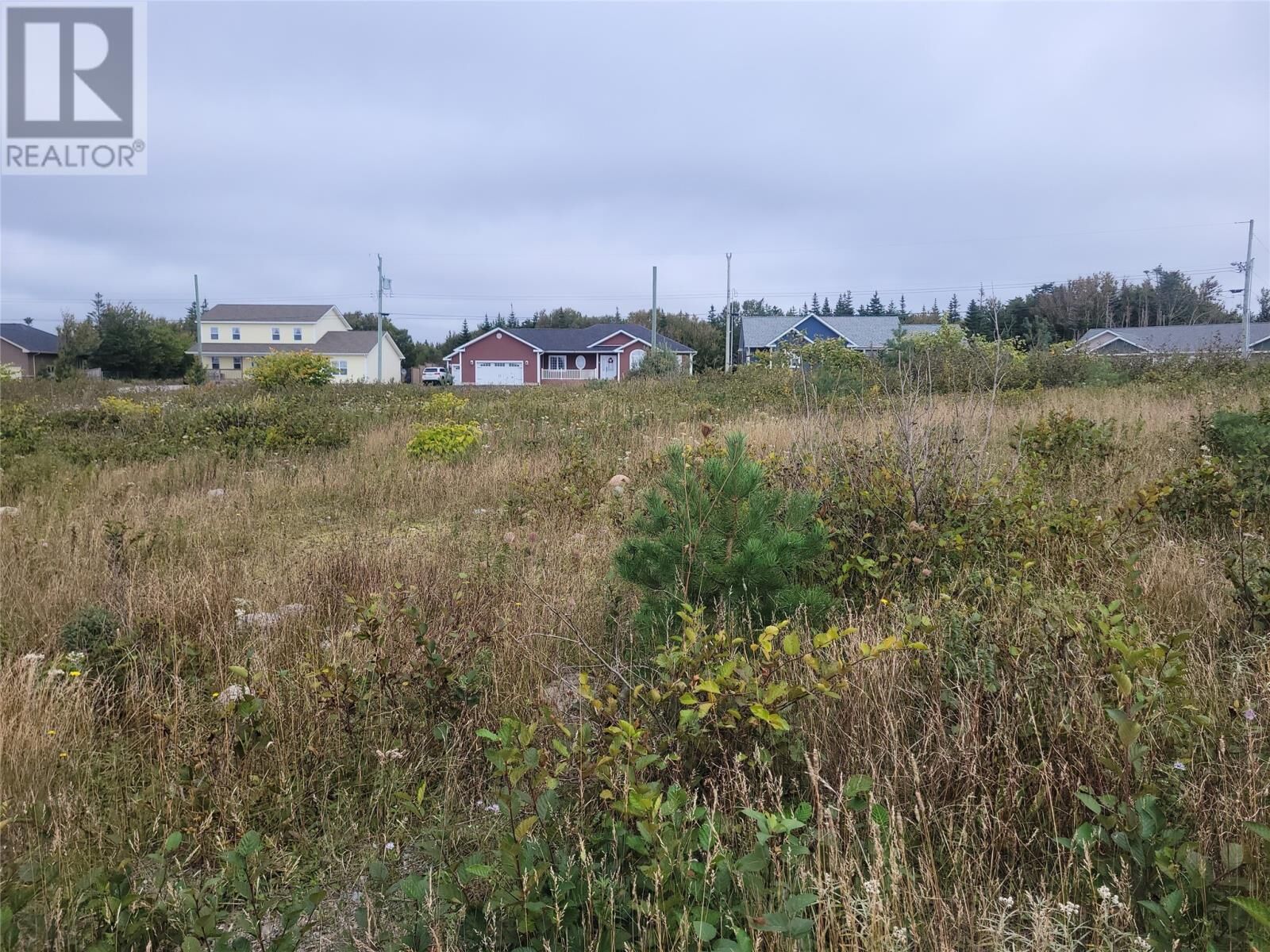 Property Photo:  3 Ridgeview Avenue  NL A2N 0B7 