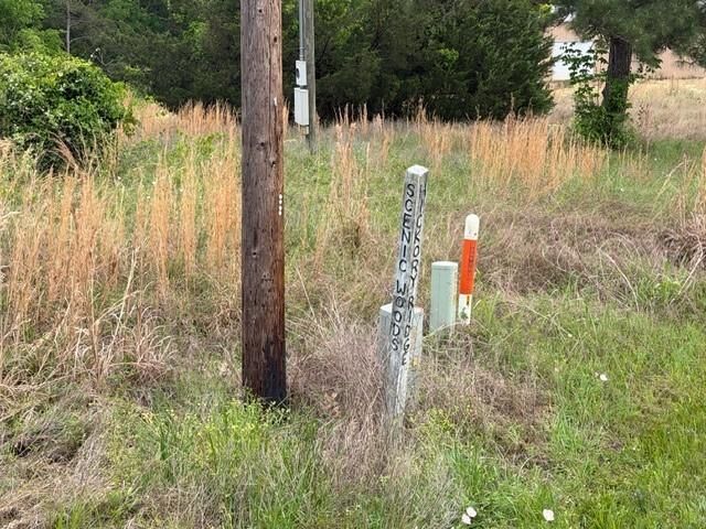 Property Photo:  Lot 231 Scenic Woods Drive  TX 77331 