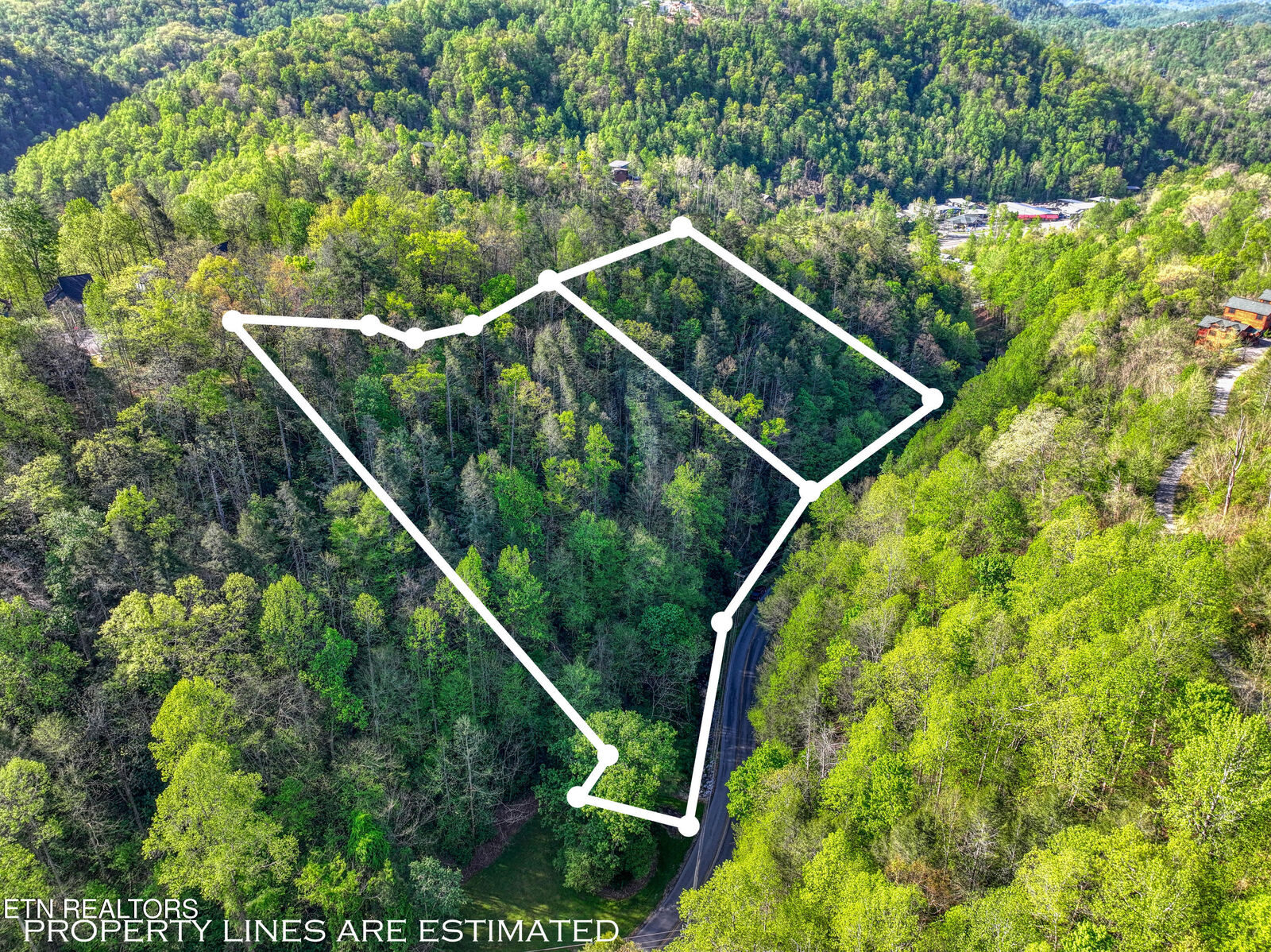 Property Photo:  Cartertown Rd  TN 37738 