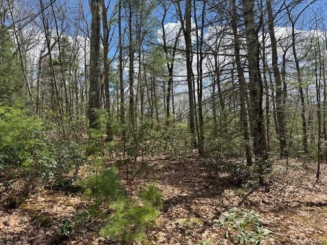 Property Photo:  Lot 73.6 Pine Road  NY 12737 